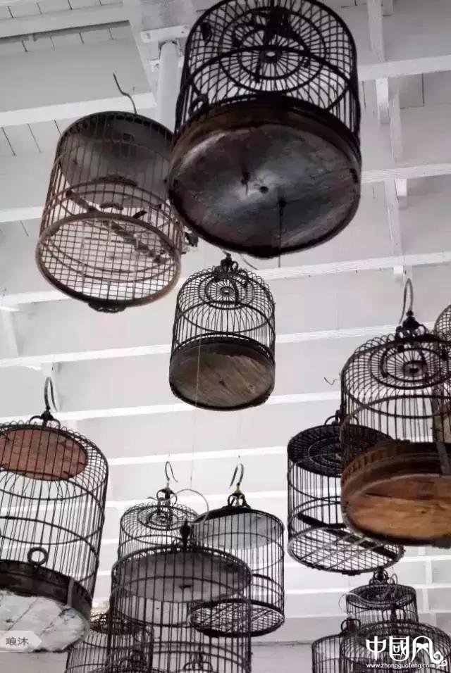 最美匠心啟航閱讀鳥籠