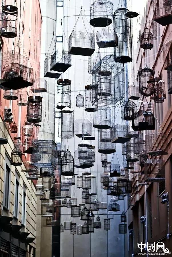 最美匠心啟航閱讀鳥籠