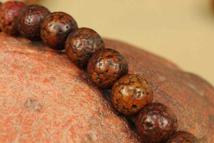 什么是星月菩提？原生態(tài)藏傳爆老星月菩提