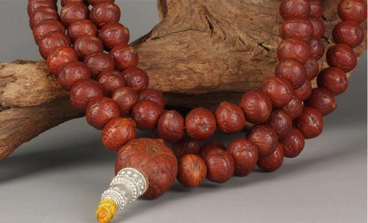 矮樁金眼爆紅小鳳眼菩提怎么盤？