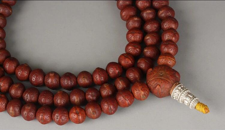 矮樁金眼爆紅小鳳眼菩提怎么盤？