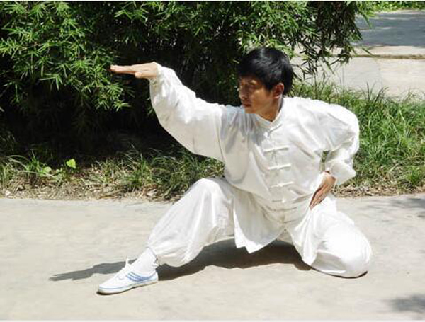 中華武術:蛇拳