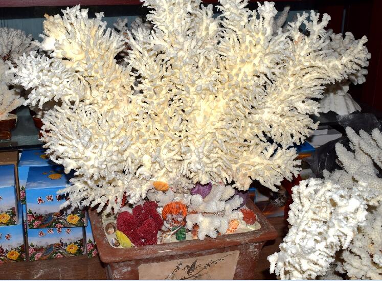 精美的珊瑚藝術(shù)品--千年珊瑚萬年紅(七)