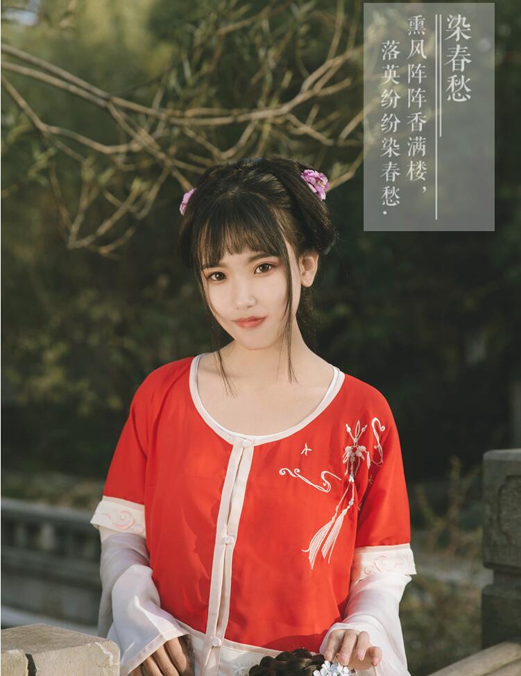 染春愁坦領(lǐng)半臂襦裙 漢服