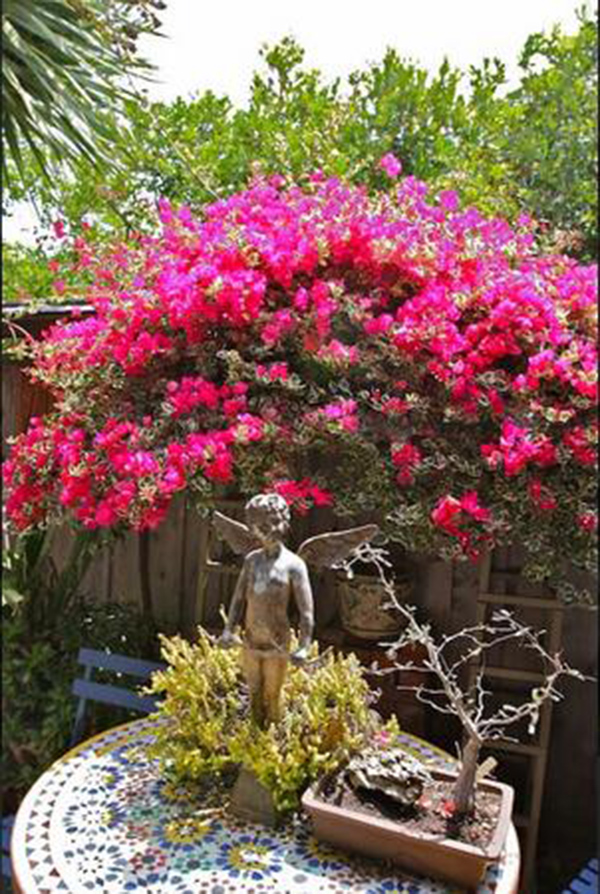 麥克的小屋，美國民宿