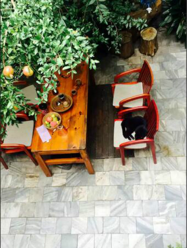 蒼山腳下的民宿，古城內(nèi)貓三家清靜四合小院民