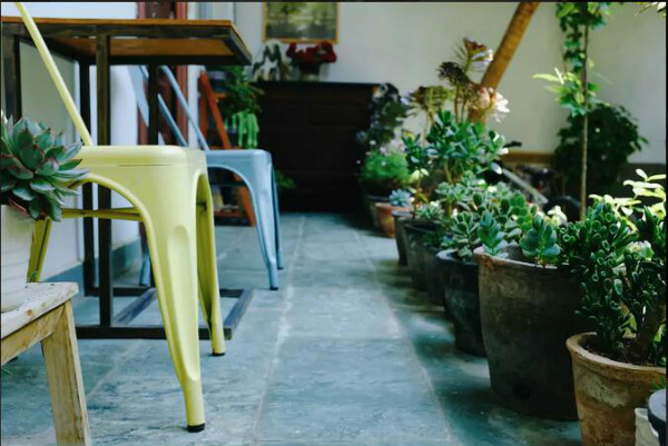 打呼嚕寓所，大理古城里的民宿