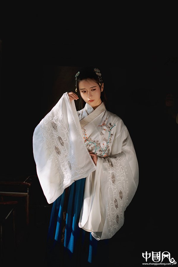 刺繡交領齊腰大袖襦裙