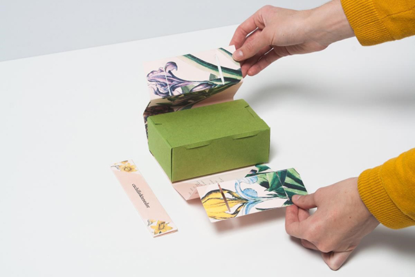 春天風(fēng)外賣(mài)盒包裝設(shè)計(jì)圖