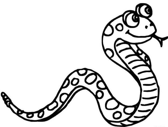 屬蛇的人的床頭朝向風水是怎樣的？