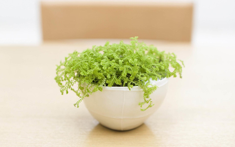 走上人生巔峰，只需掌握這四種顏色方向