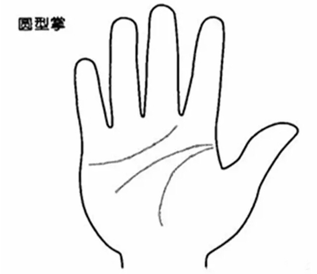 四種不同手掌外形，看出你的不同性格