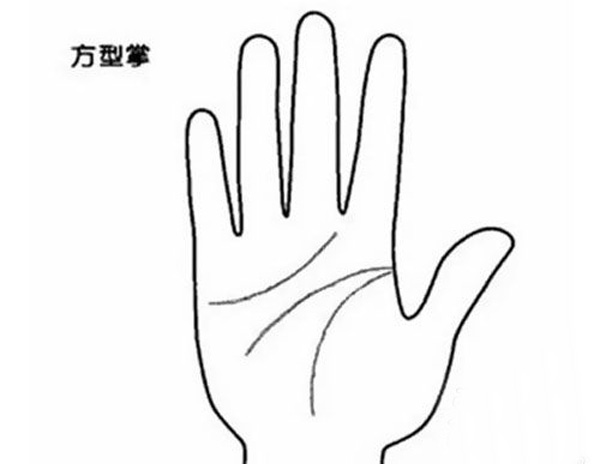 四種不同手掌外形，看出你的不同性格