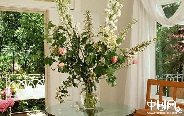 各種室內(nèi)的植物風(fēng)水
