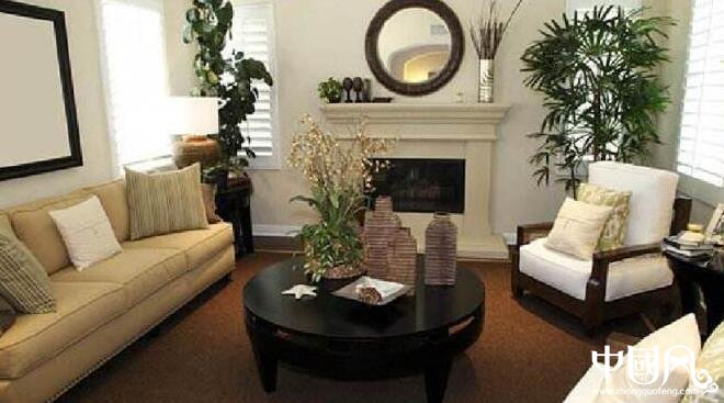 居家的風水植物