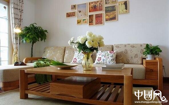 幸福樹(shù)對(duì)家居風(fēng)水的影響