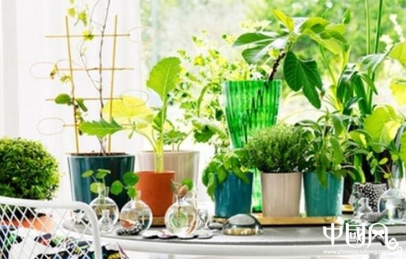 八宅風水學基本知識