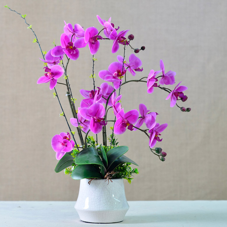 假花也會影響你的感情？？？