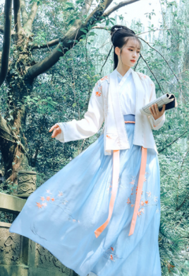 傳統(tǒng)漢服褙子褶裙，宋制繡花楓葉裙