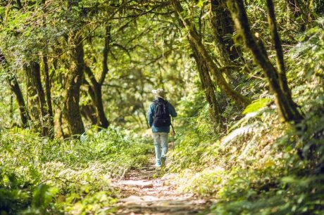 山居秋暝民宿，在大龍井古鎮(zhèn)體驗(yàn)民族文化