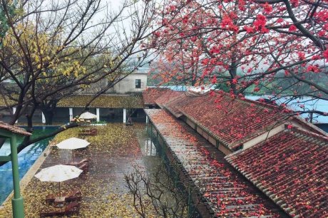 喜臨院，在年月網(wǎng)紅房把珠江江景盡收眼底