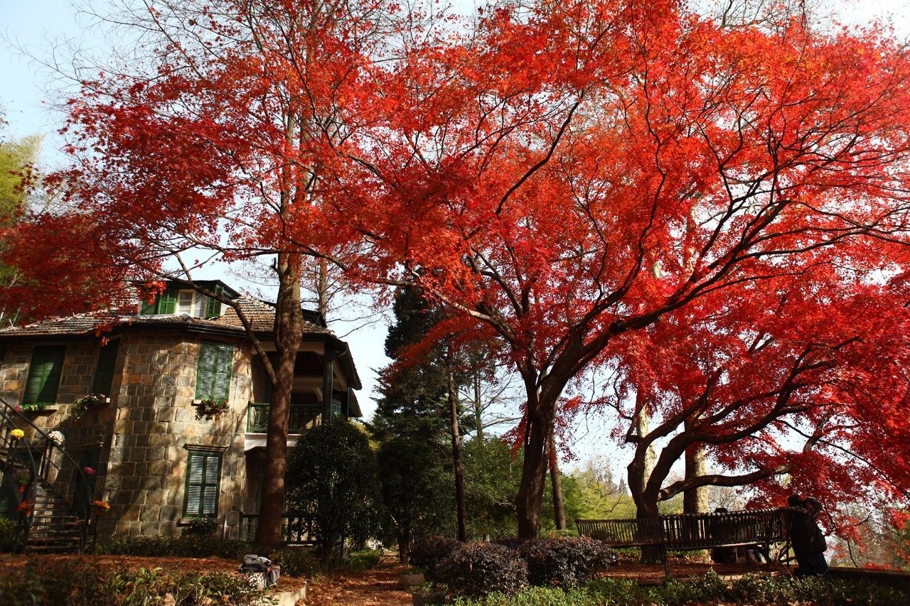 忘山別墅莫干山民宿，一棟百年歷史的民國別墅