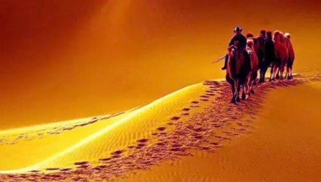 《天邊的駱駝》，震撼的沙漠風景之美!