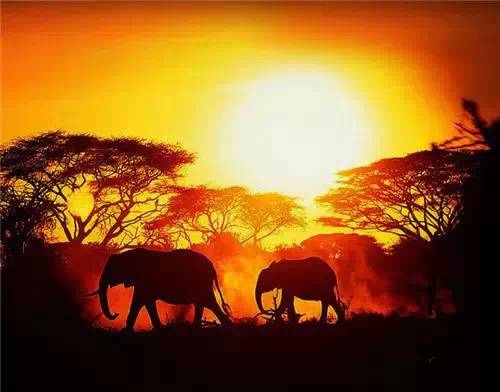 美到骨子里的夕陽(yáng)風(fēng)景：青山依舊在，幾度夕陽(yáng)