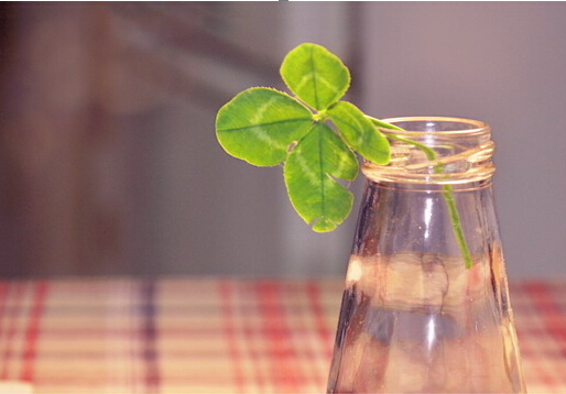 學(xué)習(xí)風(fēng)水學(xué)，生活風(fēng)水禁忌大全送給你