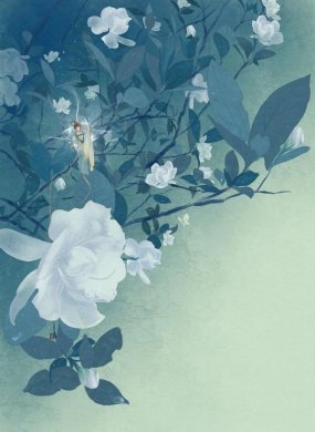 一組唯美古風(fēng)圖片：一人一花一世界！