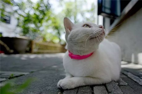 小日子生活館，選一本書過自己的生活方式