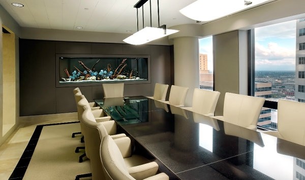 辦公室魚缸擺放禁忌，你能學(xué)到嗎？