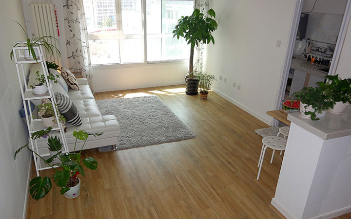 學習風水學，客廳擺放植物風水禁忌全get！