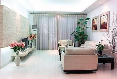 這些客廳植物風(fēng)水禁忌，你一定要知道！