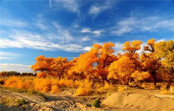 美呆了！祖國(guó)的秋色盡收眼底