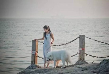 悠然別苑民宿設(shè)計(jì)，聽(tīng)海風(fēng)的聲音