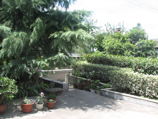 這些庭院種樹的風(fēng)水禁忌，你知道嗎？