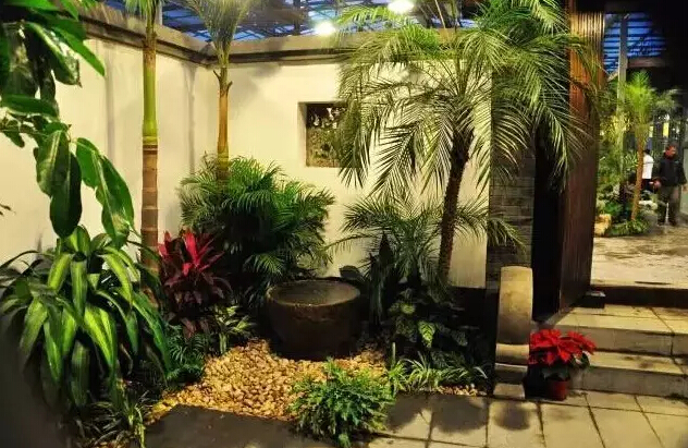 庭院植物風(fēng)水禁忌全get！風(fēng)水學(xué)來(lái)幫你