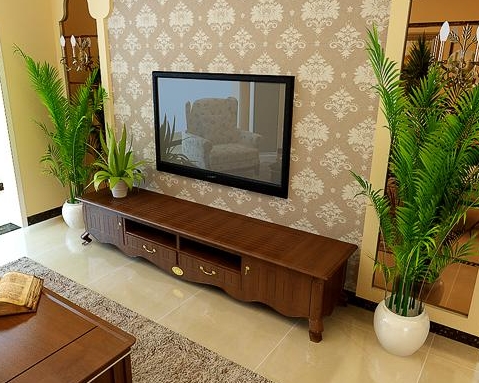 家中植物擺設(shè)風(fēng)水禁忌，你想知道嗎？