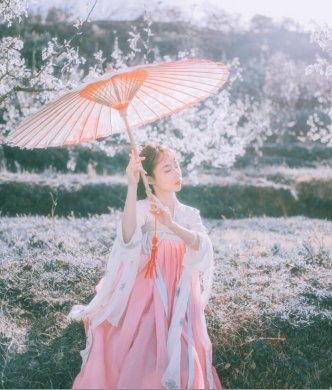 刺繡對襟齊胸襦裙，清新淡雅漢服