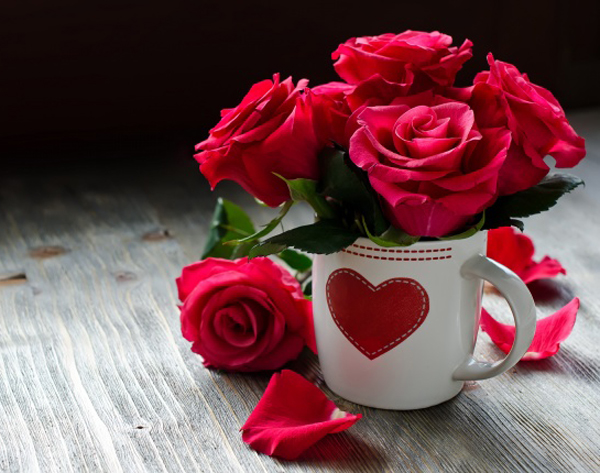 學(xué)會巧用愛情風(fēng)水學(xué)，擺脫單身不是夢