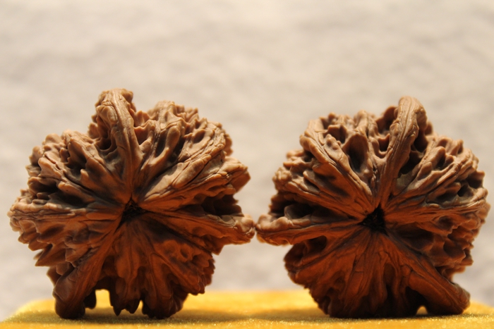 文玩核桃麥穗紋虎頭獅虎獸三棱(收藏級三道筋