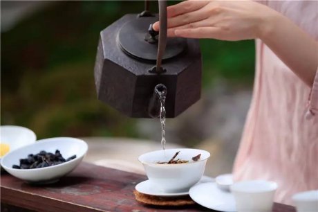 觀芷隱軒，以茶會友的民宿