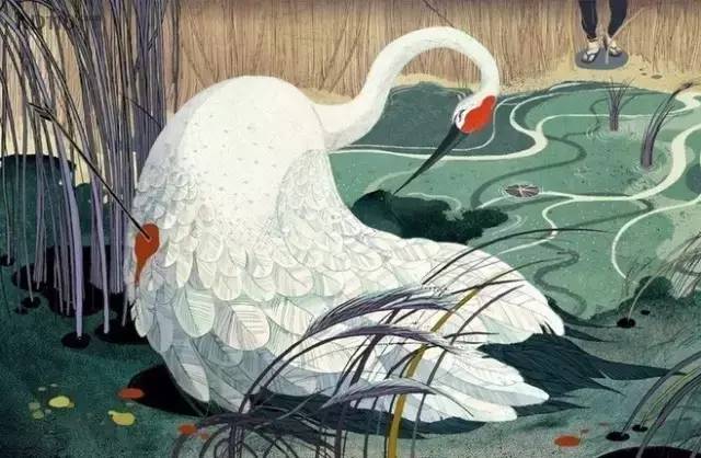 福布斯榜最年輕插畫師：我筆下的匠心啟航閱讀