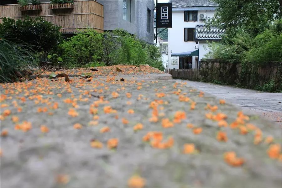 杭州·一色山墅，滿覺(jué)隴的月色喝茶散步都是雅事