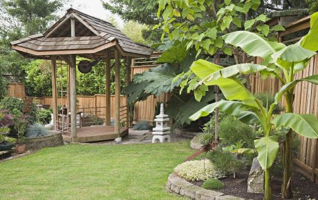 庭院大門朝向風水細述，庭院植物風水知識