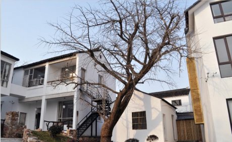 房子坐向風水詳解，房屋的坐向如何確定？