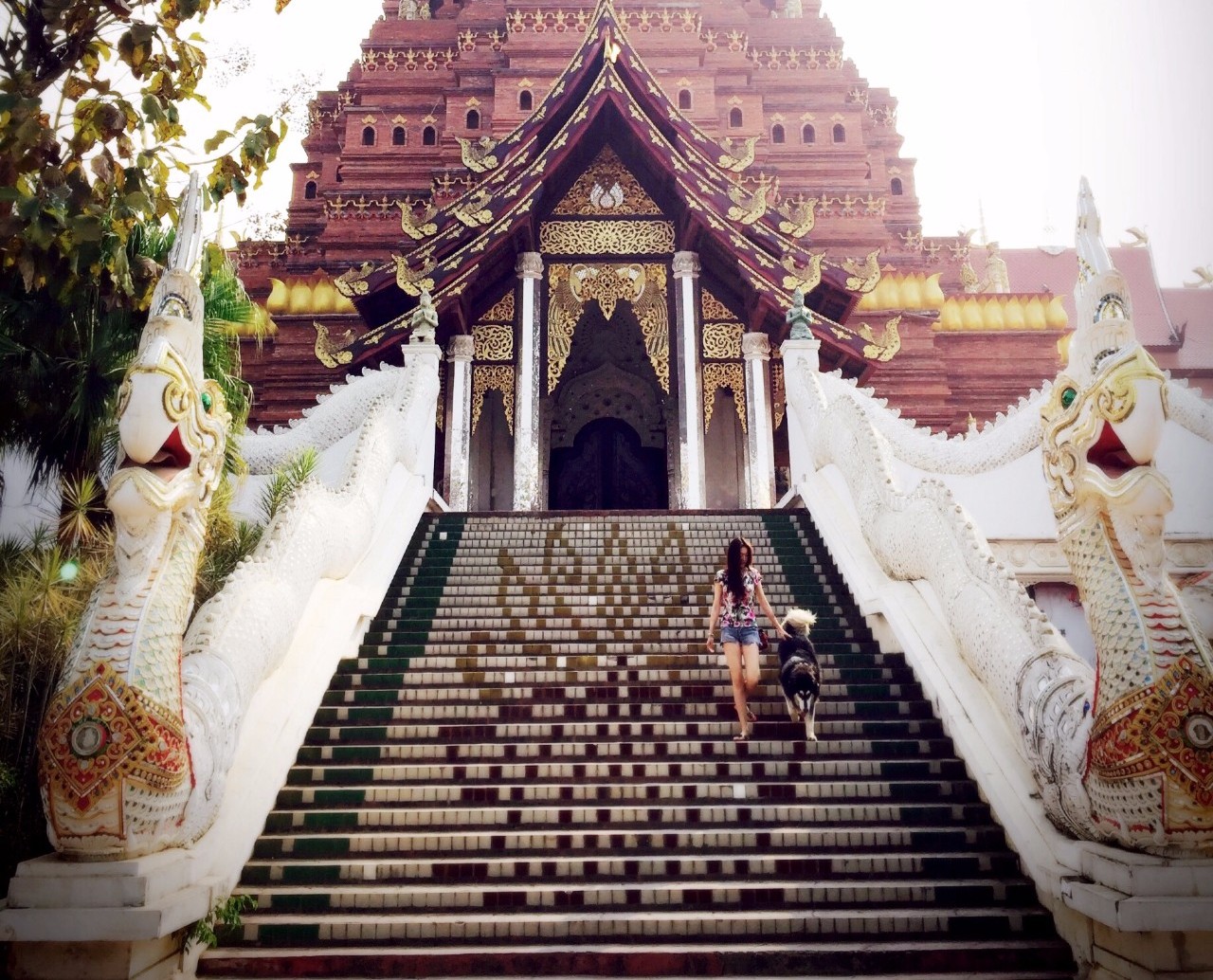 麗江束河·雲(yún)山南，相愛真的是一種奇跡