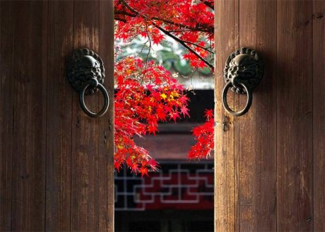 中國(guó)人在秋天的九種情調(diào)，唯美古風(fēng)句子