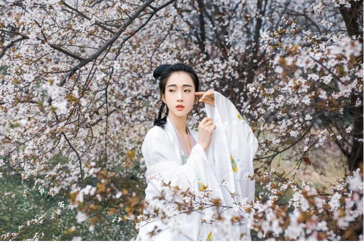 櫻花樹下古風(fēng)女子頭像，真人古風(fēng)頭像大全